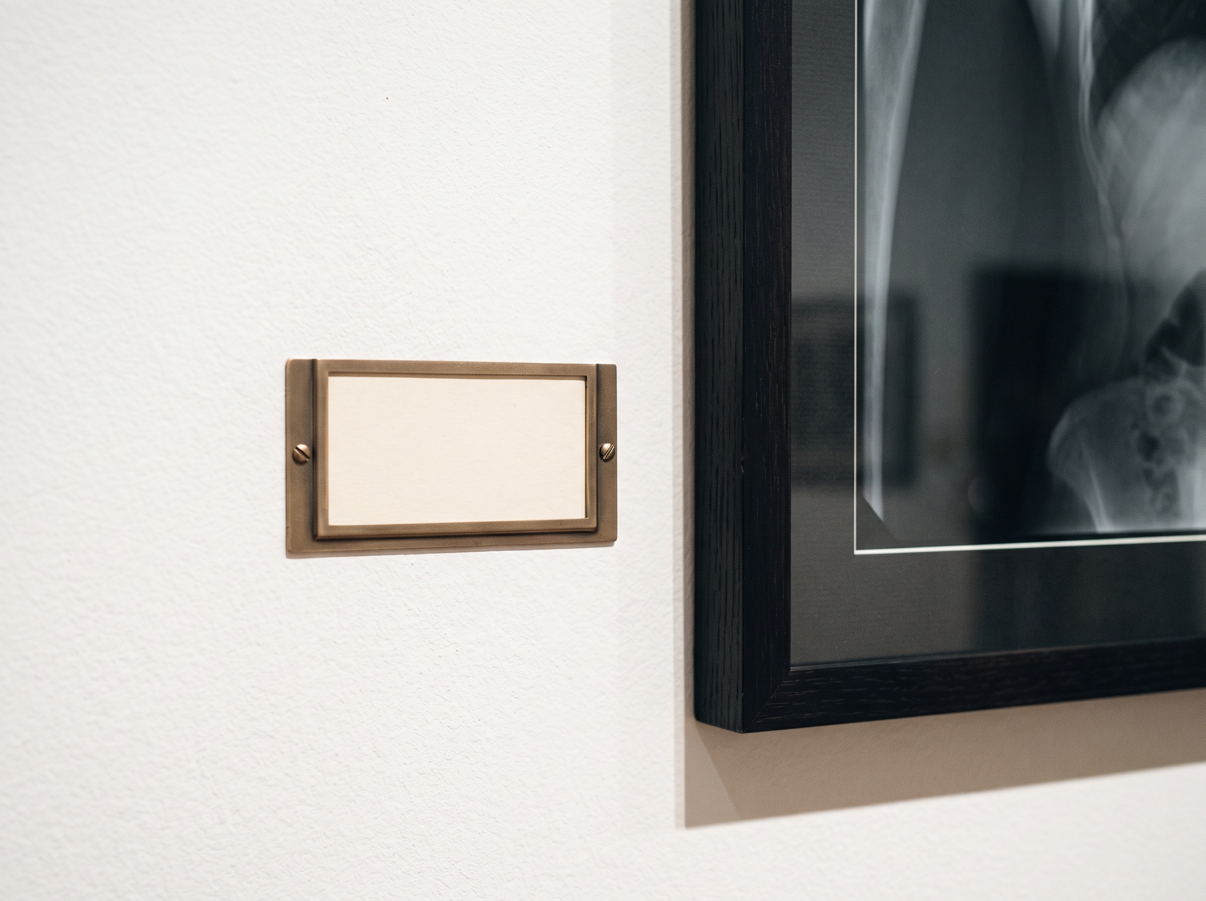 A blank engraved museum label plate mounted beside the corner of a framed radiograph on a white wall