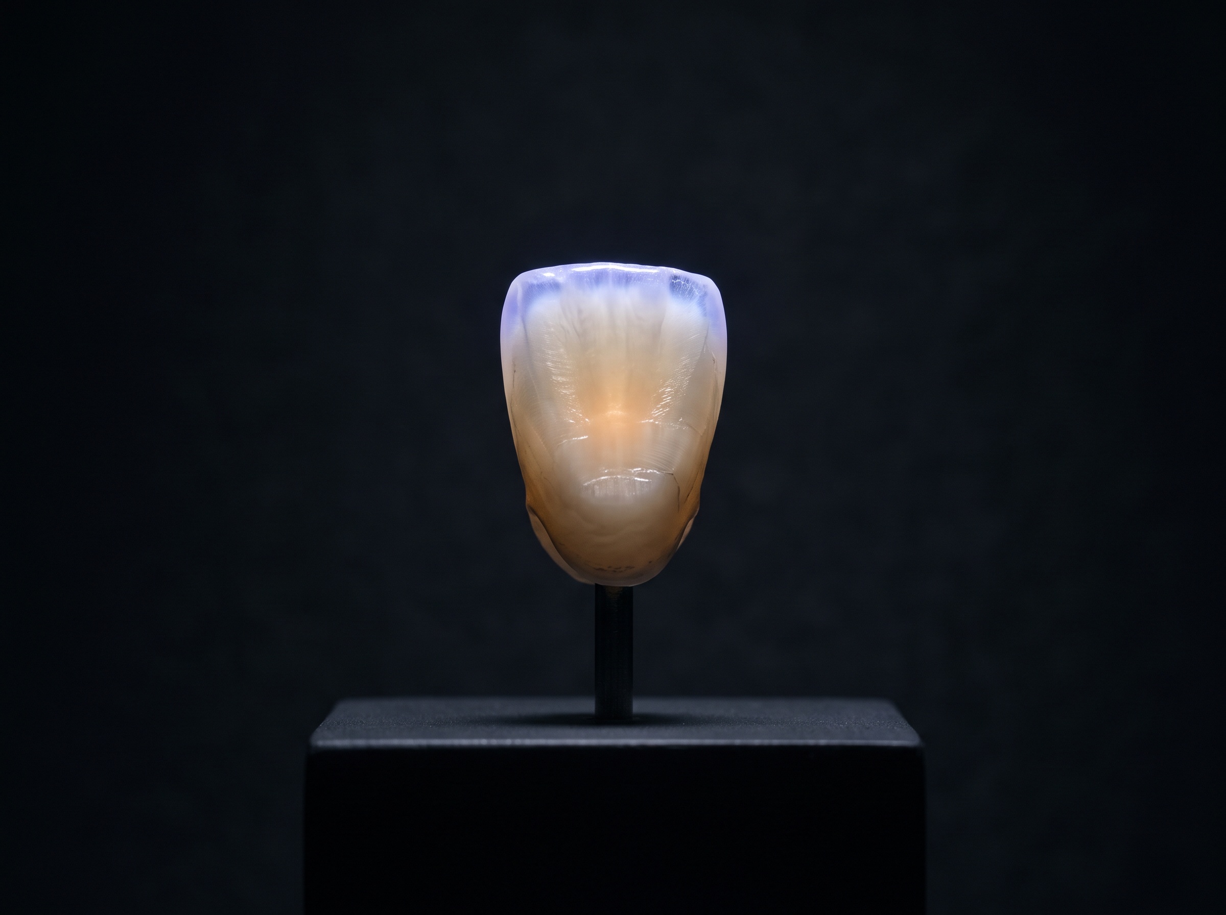 A translucent anterior tooth glowing with blue incisal opalescence and internal fluorescence under refined lighting