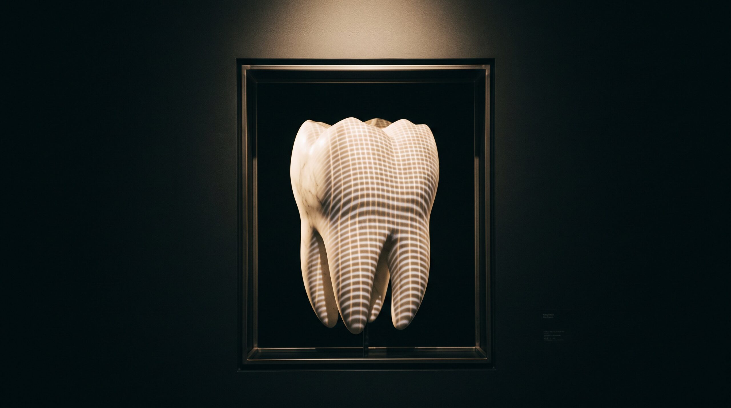 A single tooth with a fine grid of luminous stripes projected across it, the lines bending over the curved surface
