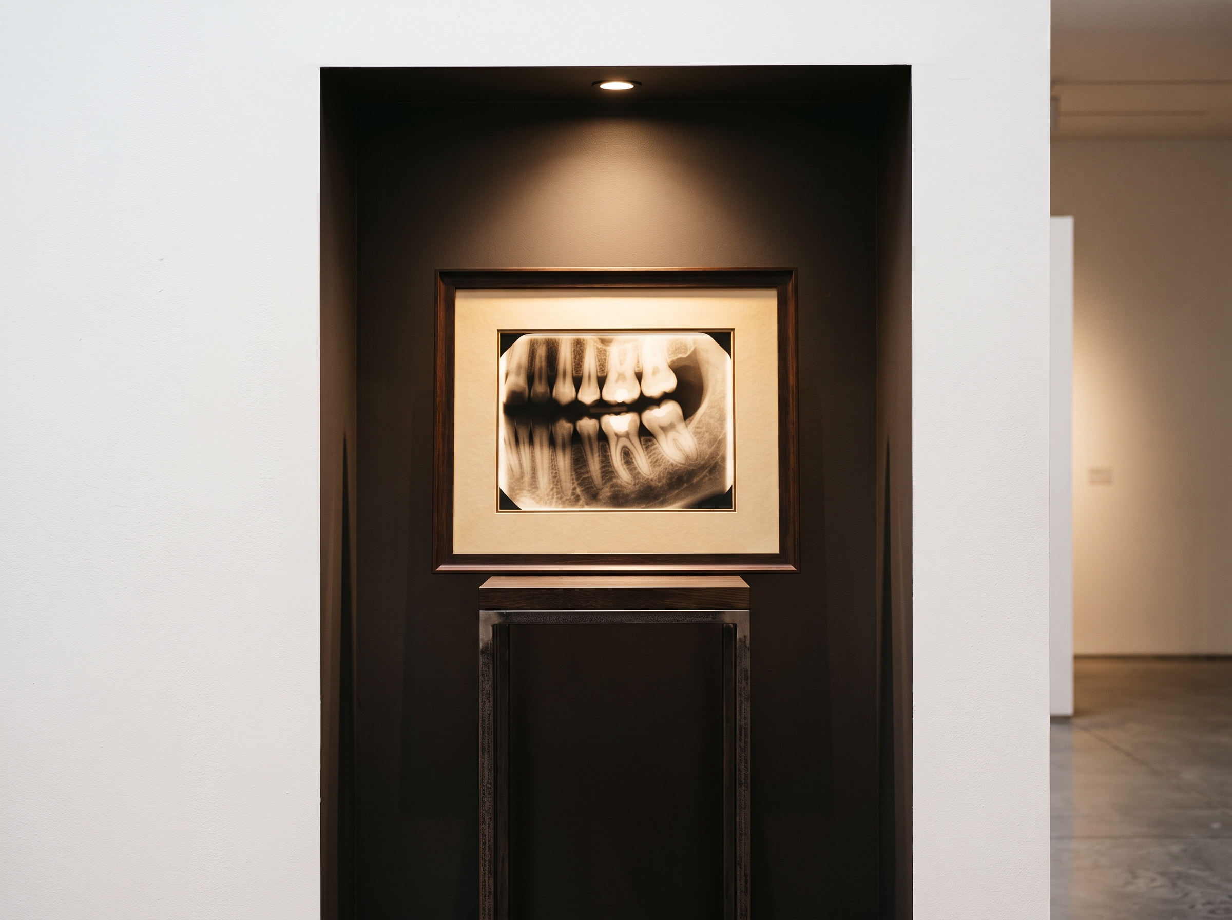 A single dental radiograph lit like a treasured artwork on a gallery pedestal
