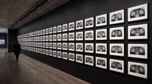 The Collection Behind the Machine: Why a Public, Pixel-Labeled X-Ray Archive Is the Raw Material of Dental Imaging AI