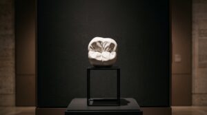 Raking Light: Borrowing the Art Conservator’s Trick to Photograph Tooth Wear and Erosion